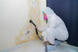 Why You Should Choose Our Mold Remediation Services in Bensville, MD